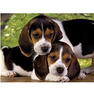 Clementoni Puzzle Proximity 500 pieces - Jigsaw Puzzle