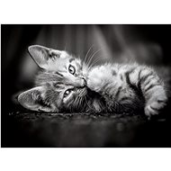 Clementoni Puzzle Cat 1000 pieces - Jigsaw Puzzle