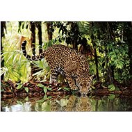 Clementoni Puzzle Leopard 2000 pieces - Jigsaw Puzzle