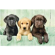 Clementoni Puzzle Three Labradors 1000 pieces - Jigsaw Puzzle