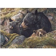 Cobble Hill Puzzle Double Love 1000 pieces - Jigsaw Puzzle
