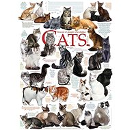 Cobble Hill Puzzle Cat Messages 1000 pieces - Jigsaw Puzzle