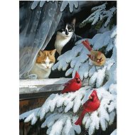Cobble Hill Birdwatching Puzzle 1000 pieces - Jigsaw Puzzle