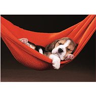 Educa Puzzle Rest in the Hammock 500 pieces - Jigsaw Puzzle
