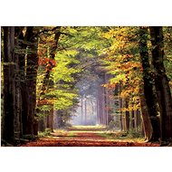 Educa Puzzle Autumn Walk 1000 pieces - Jigsaw Puzzle
