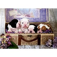 Educa Puzzle Puppies 500 pieces - Jigsaw Puzzle