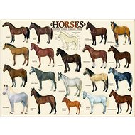 Eurographics Puzzle Horses 1000 pieces - Jigsaw Puzzle