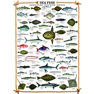 Eurographics Puzzle Sea Fish 1000 pieces - Jigsaw Puzzle