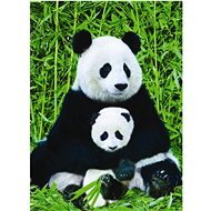 Eurographics Puzzle Panda and Cub 1000 pieces - Jigsaw Puzzle