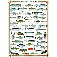 Eurographics Freshwater Fish Puzzle 1000 pieces - Jigsaw Puzzle