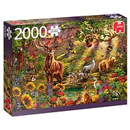 Jumbo Puzzle Magical forest in the setting sun 2000 pieces - Jigsaw Puzzle
