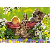 Jumbo Puzzle Ready for a picnic 500 pieces - Jigsaw Puzzle