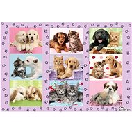 Schmidt Puzzle My animal friends 100 pieces - Jigsaw Puzzle
