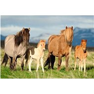 Schimdt Horse Herd Puzzle 200 pieces - Jigsaw Puzzle
