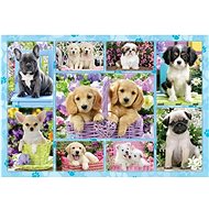 Schimdt Puppies Puzzle 200 pieces - Jigsaw Puzzle