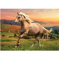 Trefl Puzzle Afternoon Run 500 pieces - Jigsaw Puzzle