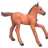 Mojo - Arabian horse - chestnut colt - Figure