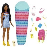 Barbie Dreamhouse Adventures Kempingező baba - Brooklyn - Játékbaba