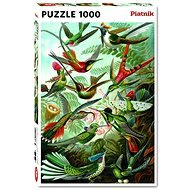 Haeckel – Kolibris - Puzzle