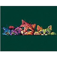 Painting by Numbers - Colored Cats, 80x100 cm, stretched canvas on frame - Painting by Numbers