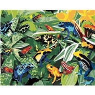 Painting by Numbers - Colored Frogs (Howard Robinson), 80x100 cm, stretched canvas on frame - Painting by Numbers