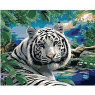 Painting by Numbers - White Tiger and Wildlife (Howard Robinson), 40x50 cm, stretched canvas on fram - Painting by Numbers