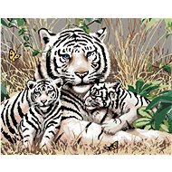 Painting by Numbers - White Tiger and Cubs in the Grass (Howard Robinson), 40x50 cm, stretched canva - Painting by Numbers
