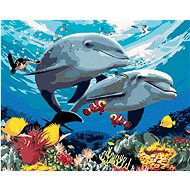 Painting by Numbers - Dolphins and Coral Reef (Howard Robinson), 40x50 cm, stretched canvas on frame - Painting by Numbers