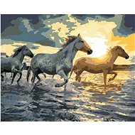 Painting by Numbers - Horses in Water, 80x100 cm, stretched canvas on frame - Painting by Numbers