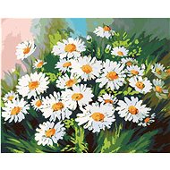Painting by Numbers - Daisies in the Grass, 80x100 cm, stretched canvas on frame - Painting by Numbers
