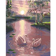 Painting by Numbers - Swans on Water, 80x100 cm, stretched canvas on frame - Painting by Numbers