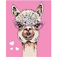Painting by Numbers - Lama with glasses, 40x50 cm, canvas on frame - Painting by Numbers