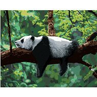 Painting by numbers - Panda lying on a tree, 80x100 cm, canvas on frame - Painting by Numbers