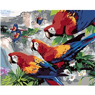 Painting by Numbers - Parrots on a branch above a waterfall (Howard Robinson), 80x100 cm, off canvas - Painting by Numbers