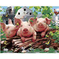 Painting by Numbers - Pigs on a Farm and Butterflies (Howard Robinson), 80x100 cm, stretched canvas  - Painting by Numbers