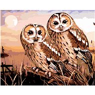 Painting by Numbers - Owls - Common Barn Owl (Howard Robinson), 80x100 cm, stretched canvas on frame - Painting by Numbers