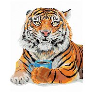Painting by Numbers - Tiger with Coffee (Holly Simental), 80x100 cm, stretched canvas on frame - Painting by Numbers