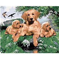 Painting by Numbers - Golden Retriever and Puppies (Howard Robinson), 80x100 cm, stretched canvas on - Painting by Numbers