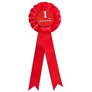 Ponnie Winner's Rosette Red - Ride On Horse Accessory