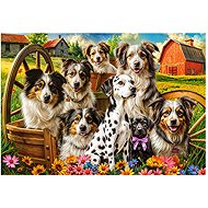 Castorland Happy Dogs in the Countryside 1000 pieces - Jigsaw Puzzle