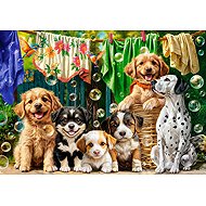 Castorland Puppies, Laundry and Bird Antics 500 pieces - Jigsaw Puzzle