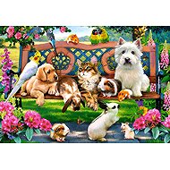 Castorland Pets in the Park 1000 pieces - Jigsaw Puzzle