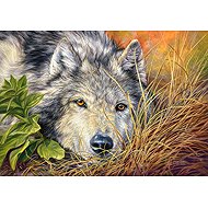 Castorland Pure Soul 500 pieces - Jigsaw Puzzle