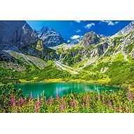 Castorland Green Lake, Tatras 1000 pieces - Jigsaw Puzzle