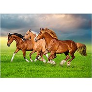 Castorland Horses in Spring Rush 500 pieces - Jigsaw Puzzle