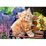 Castorland Red-haired kitten 500 pieces - Jigsaw Puzzle