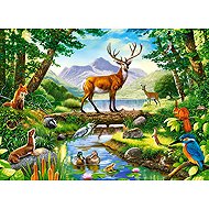 Castorland Harmony of the Forest 300 pieces - Jigsaw Puzzle