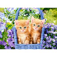 Castorland Red-haired Kittens 70 pieces - Jigsaw Puzzle
