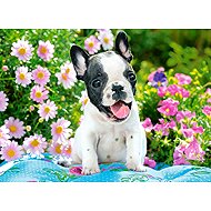 Castorland French Bulldog Puppy 70 pieces - Jigsaw Puzzle