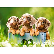 Castorland Cute Dachshunds 100 pieces - Jigsaw Puzzle